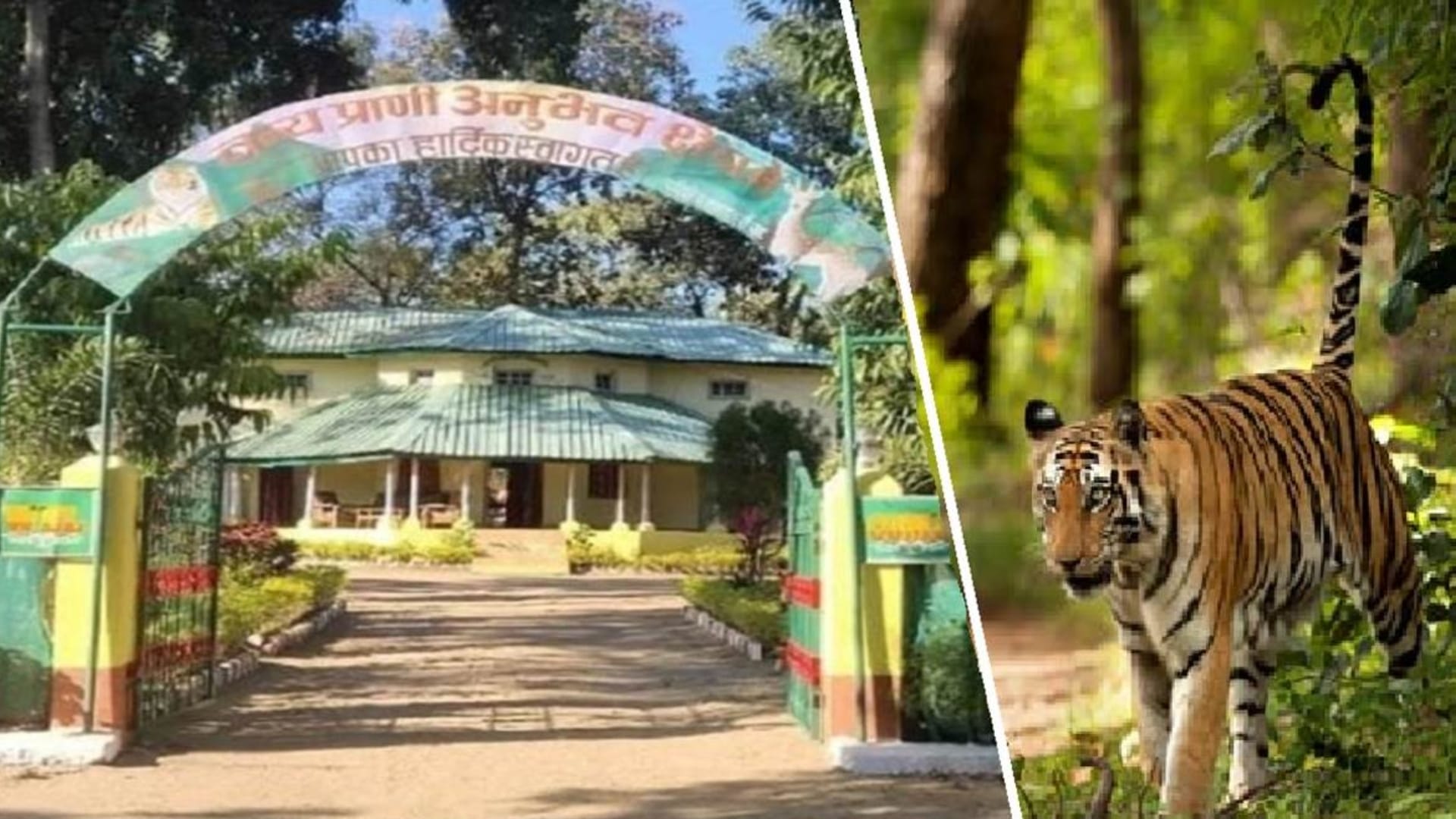 सोनेवानी वन्यप्राणी क्षेत्र