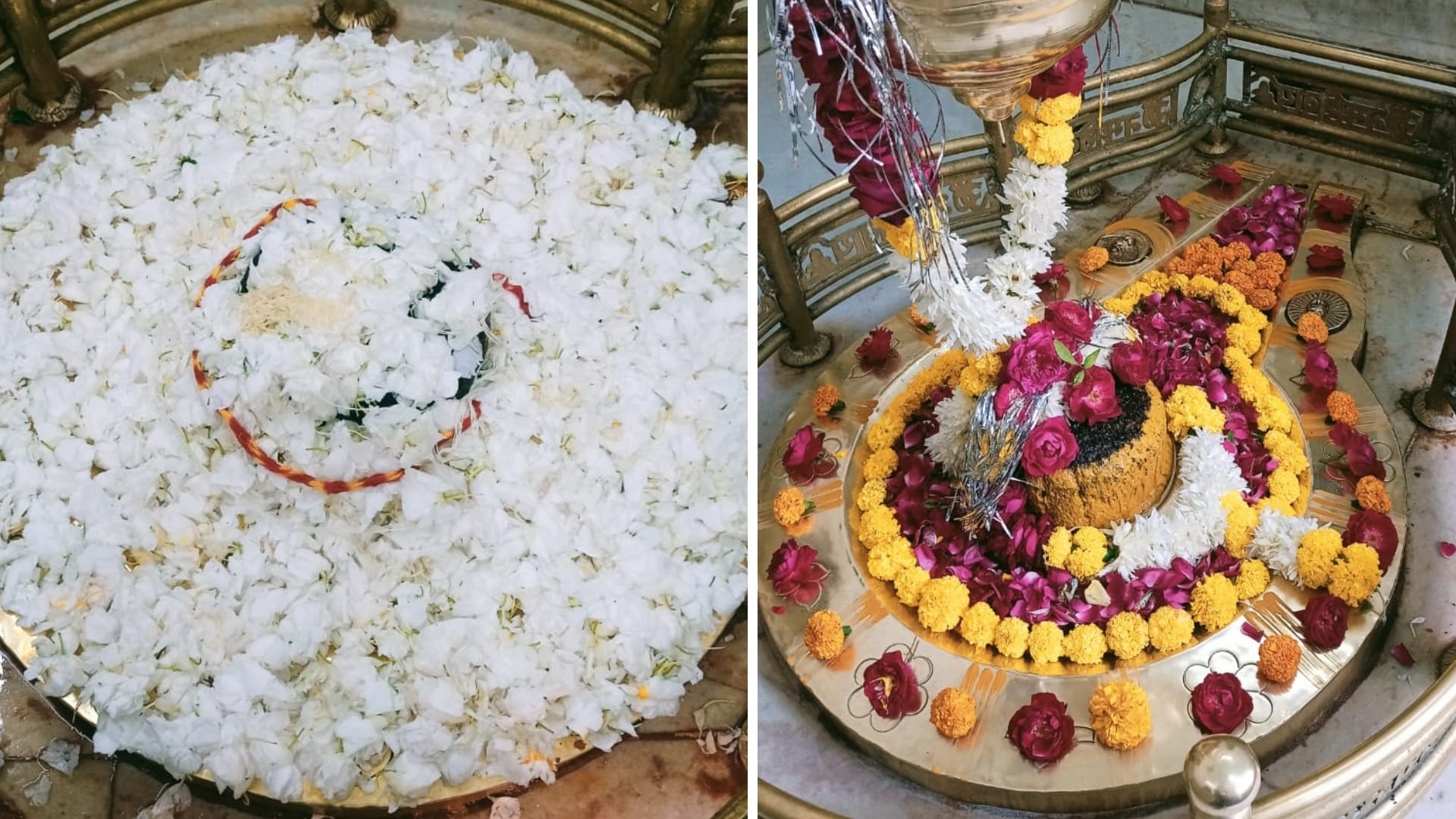 Sawan 2023: Anandeshwar Mahadev temple ujjain showers joy on everyone even