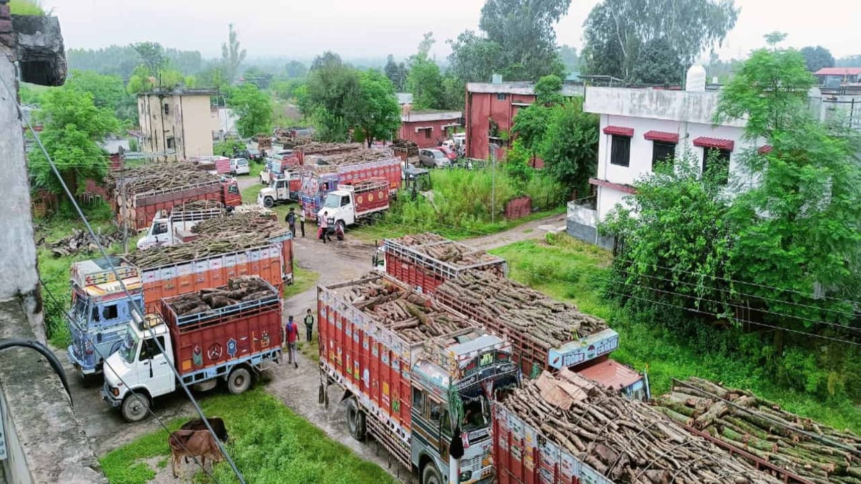Una police caught 28 vehicles carrying wood going to Punjab