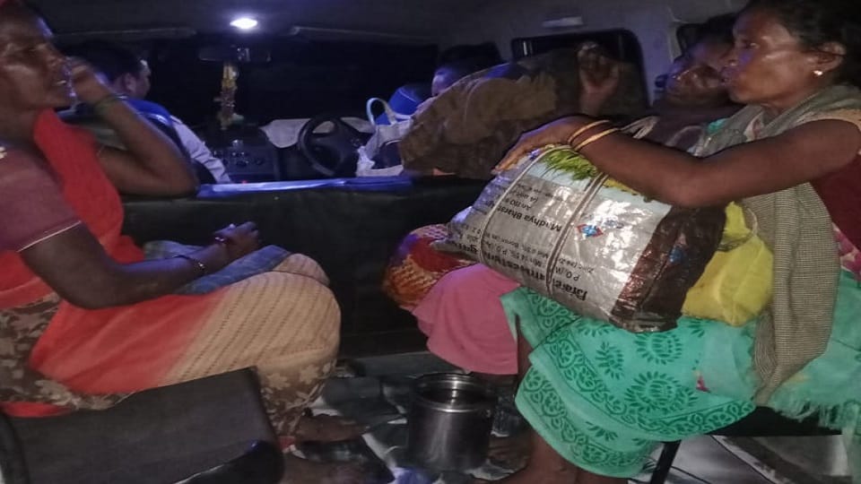 Bears attacked women returning from farm
