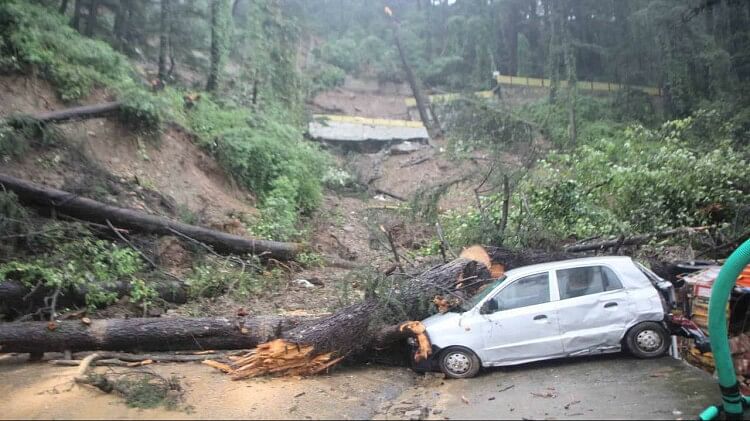 Devastation in Shimla due to rain: 150 trees collapsed, 18 vehicles buried, debris entered houses