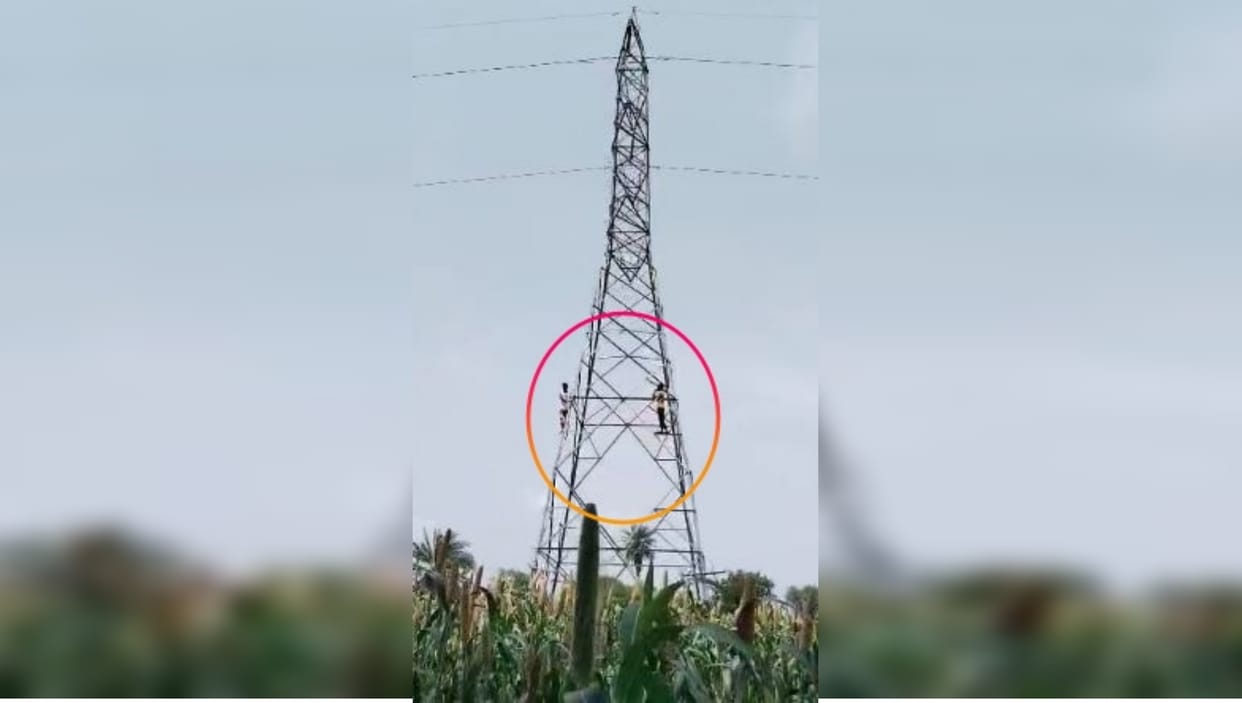 Dausa News Rajiv Gandhi Rural Olympic player climbed on tower of high tension line wrong decision on umpire