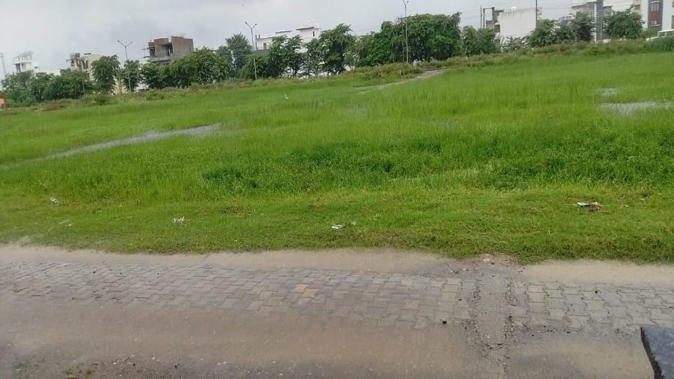 Haryana Weather: Heavy rain in Kurukshetra, relief to people from humid heat, wave of happiness among farmers