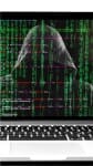 cyber fraud