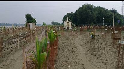 Satsang Sabha is taking cover of plants to save illegal construction in agra