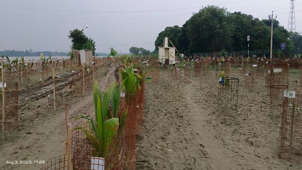 Satsang Sabha is taking cover of plants to save illegal construction in agra