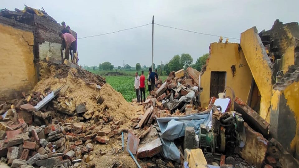 Three animals died due to being buried in debris of wall that fell due to rain