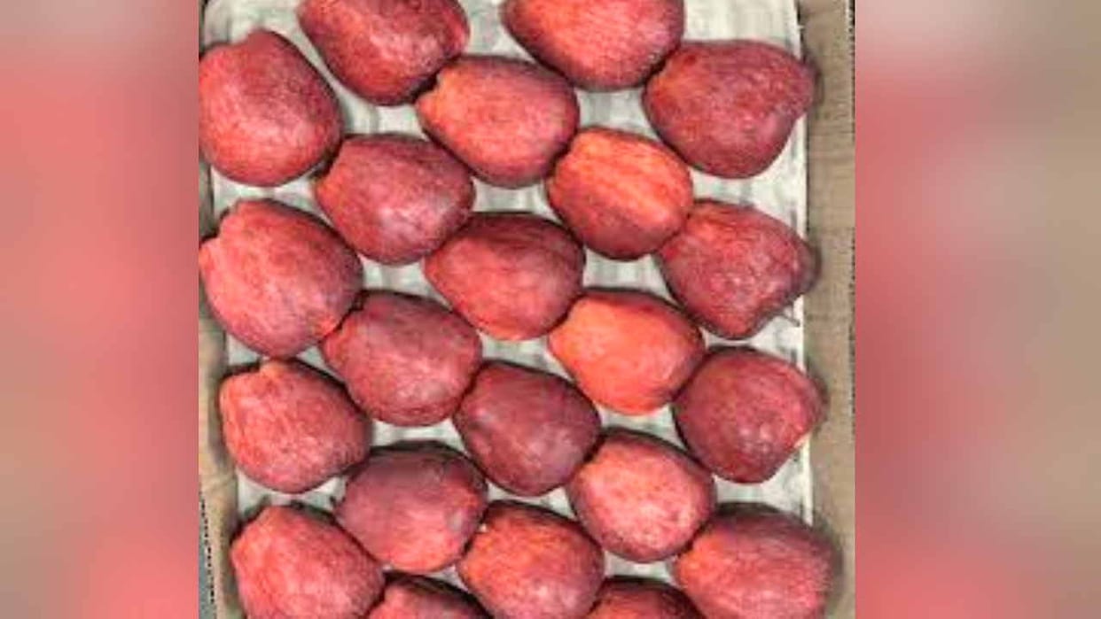 Kinnaur's apple knocks in the mandis, sold for Rs 125 a kg