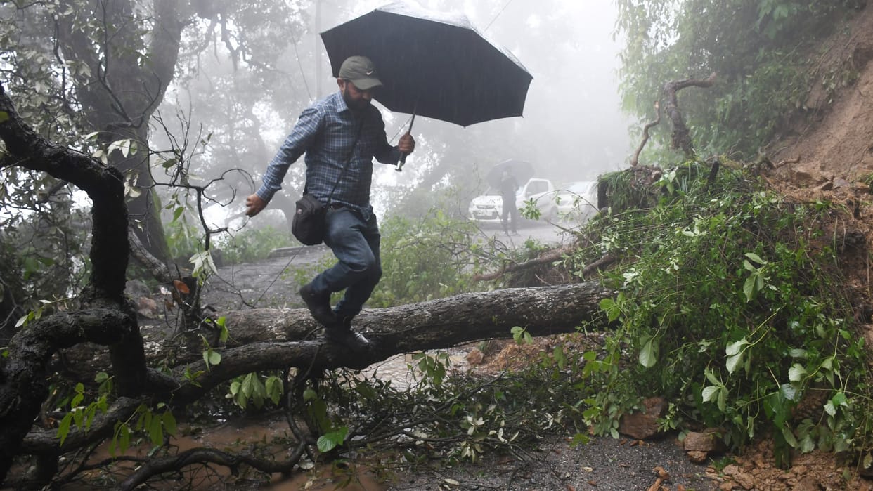 500 trees in shimla may be uprooted amid heavy rain and landslides