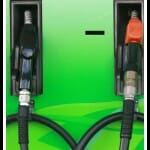 For Reference Only