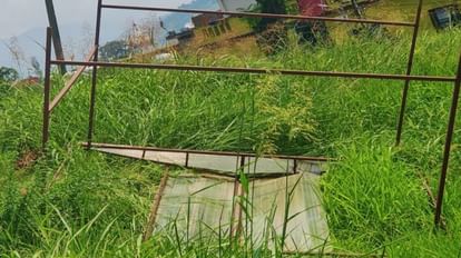 Jammu Kashmir: Digging graves died due to electrocutio other five injured in poonch