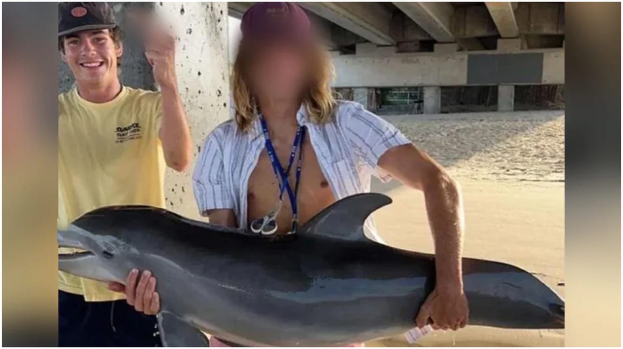 US Teen Slammed For Pulling Dolphin Out Of Water For Instagram Pic