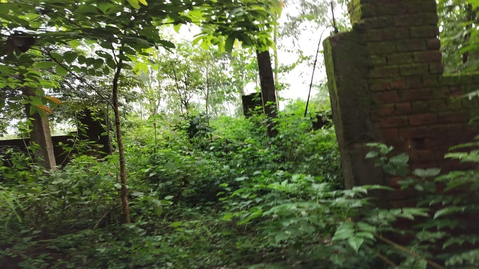 Skeleton found in the forest behind Mata Rukmani Ashram