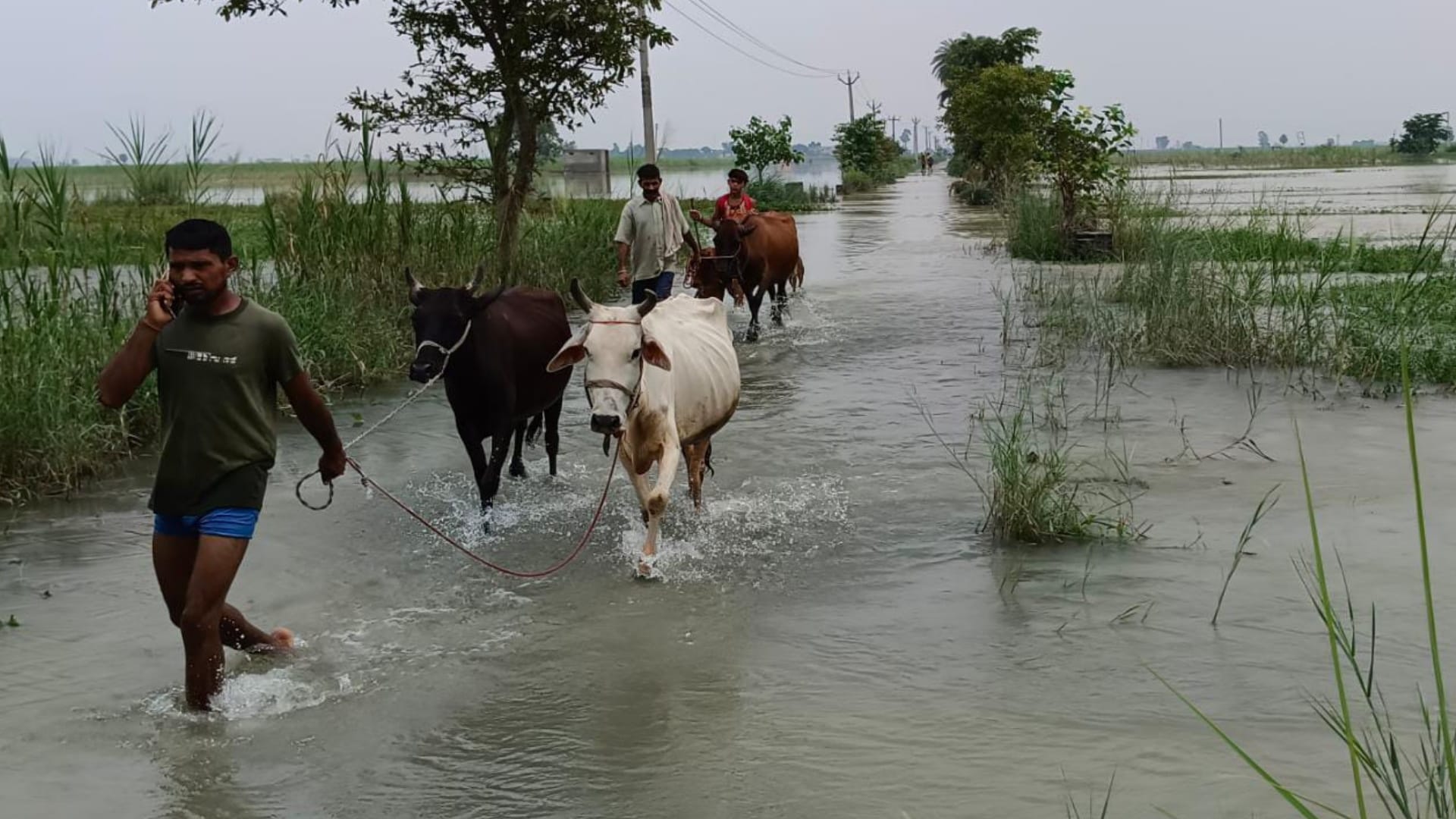 Flood in Hastinapur: Ganges water reached houses, contact with villages was broken, and people were in crisis