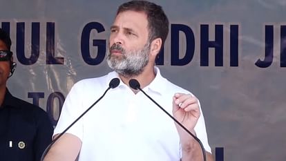 G20: Government hiding poor people and animals from G20 dignitaries: Rahul Gandhi