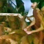 गोरक्षक दल केट्रक से पशुओं को निकालते गोरक्षक दल के सदस्य। सदस्य पशुओं को बचाते हुए।