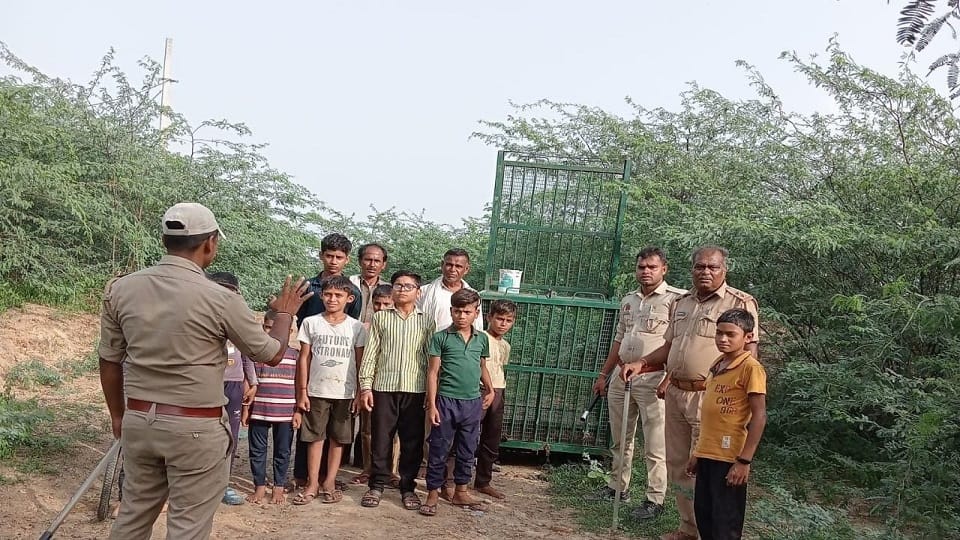 panther Panic in villages on rugged banks of Chambal hunting of milch animals Villagers imprisoned in homes