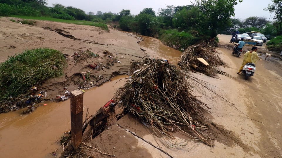 Administration not get the Rao of Patiala cleaned on time, crops destroyed due to sand and soil in Chandigarh