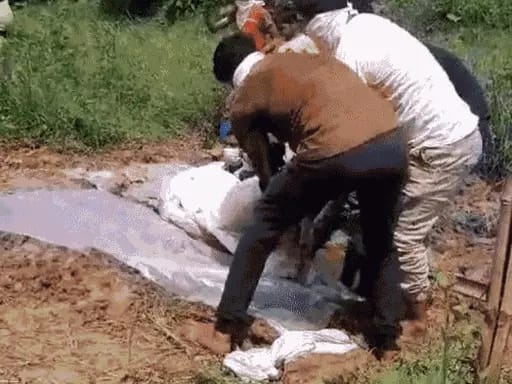 Dead body exhumed after seven days from grave in Bihar, Bihar police forced to investigate after FIR of murder