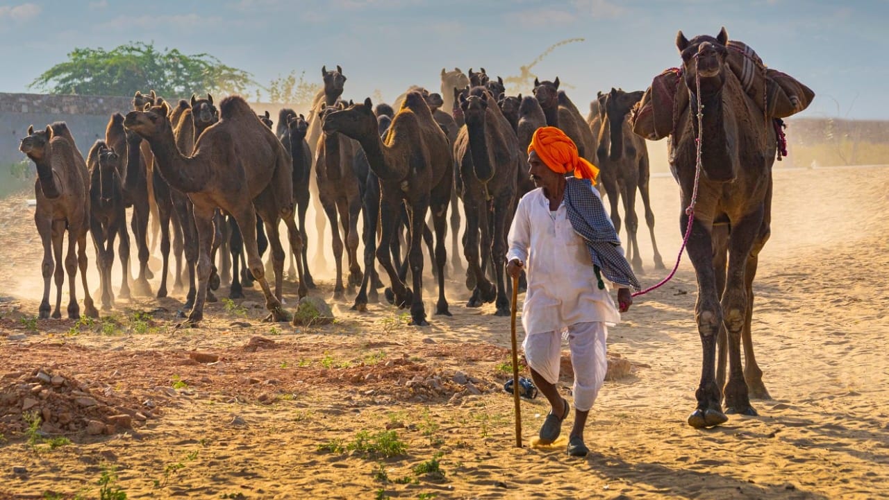 anurag badoliya photography awards