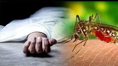 Dengue havoc in Raipur: 2 people died to dengue, DR Vishnu Dutt infected