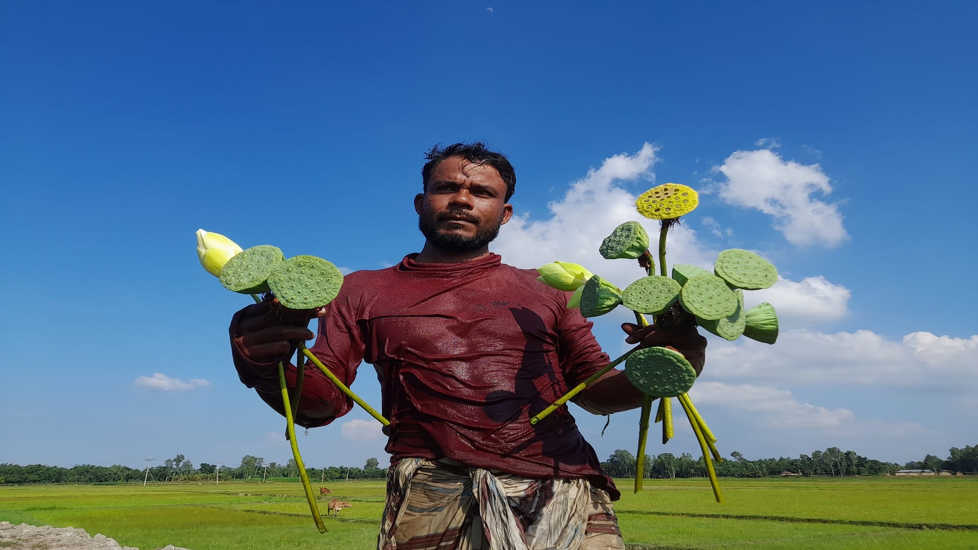 Gardening Tips To Grow Lotus Plant At Home easily in Hindi