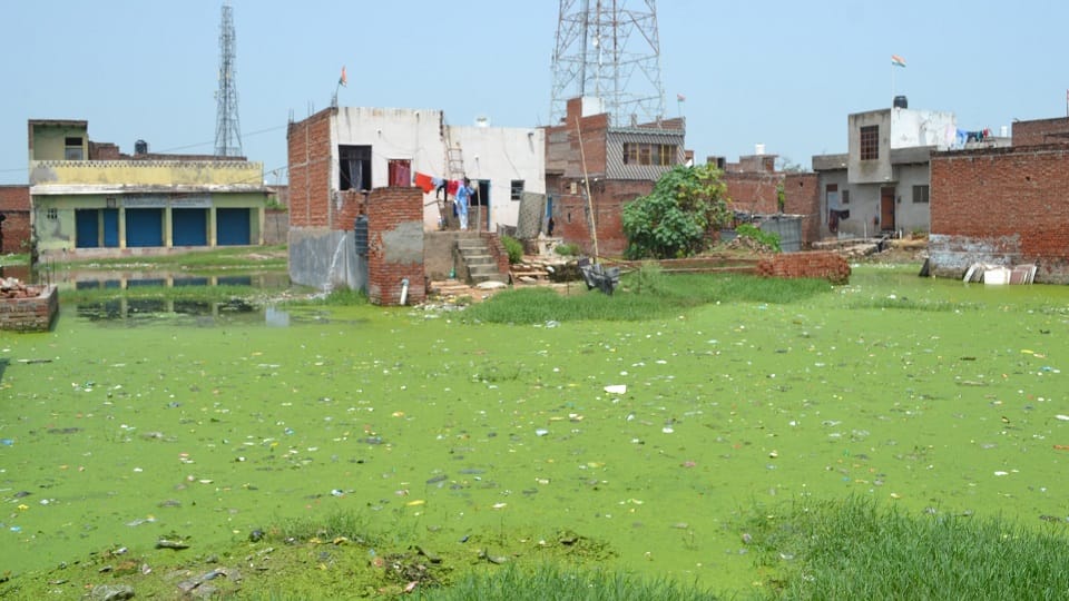 Srinagar residents battling waterlogging