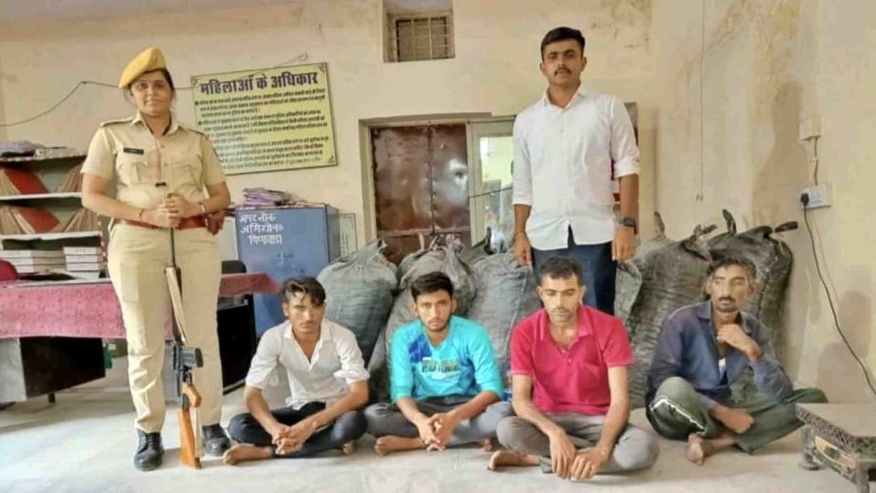 Police seized 3.02 quintals of Doda Poppy from truck in Sirohi