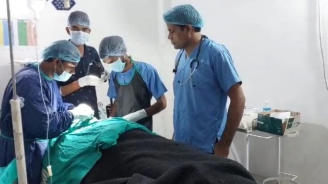 Sehore News Bears attack devotees in Devi Dham Salkanpur two injured