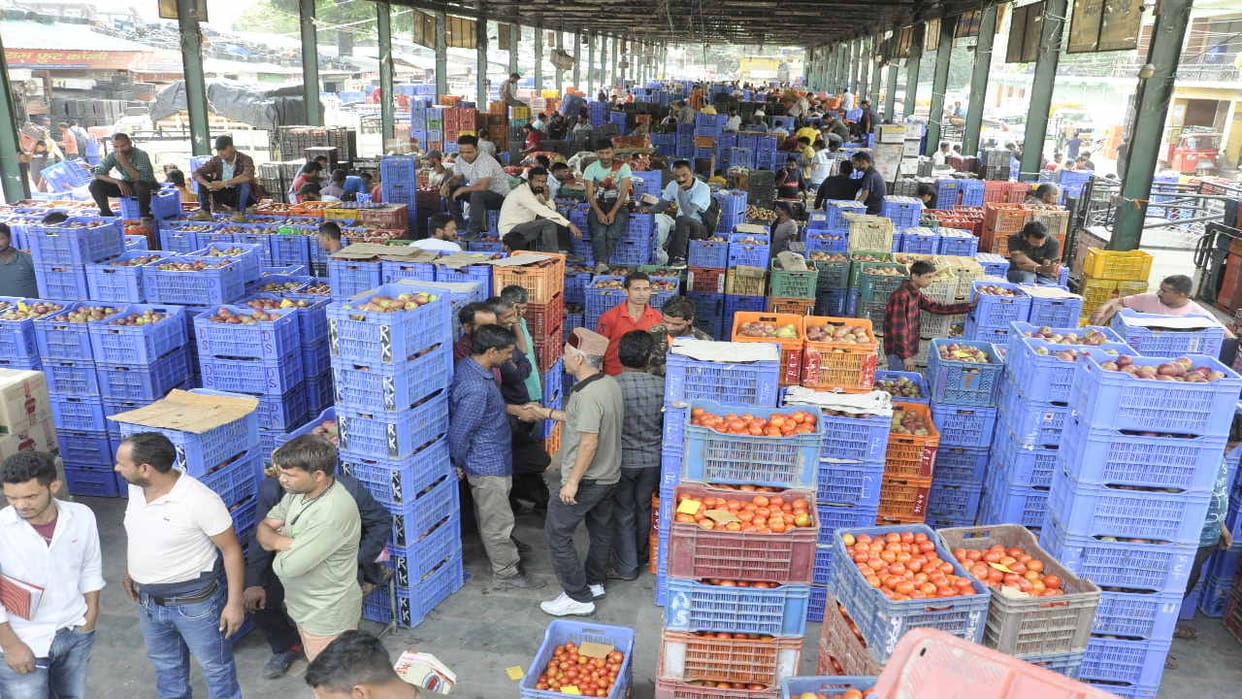 70,000 crates of apples arrived in the mandis of Kullu in a day, the apple season started catching up