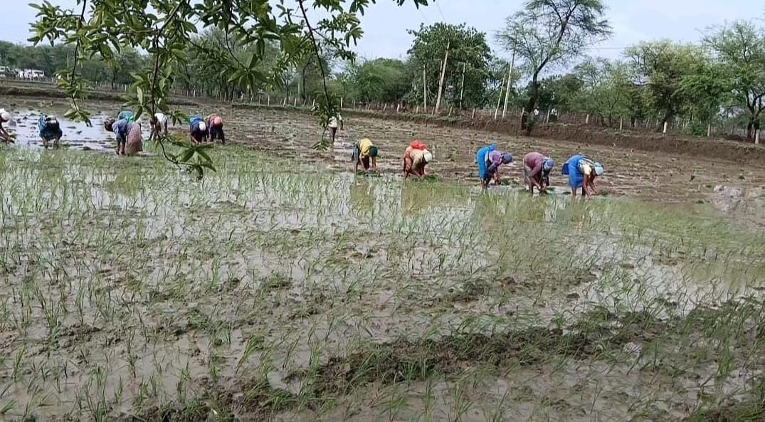 Bemetara ranks second in state in terms of taking short term agricultural loans