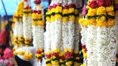 Sawan Somwar 2023: सावन के महीने में महका फूलों का बाजार, सवा पांच करोड़ से ज्यादा फूलों की हुई खरीद और बिक्री Flower market flourishes in the month of Sawan, buying and selling of more than 5.25 crore flowers