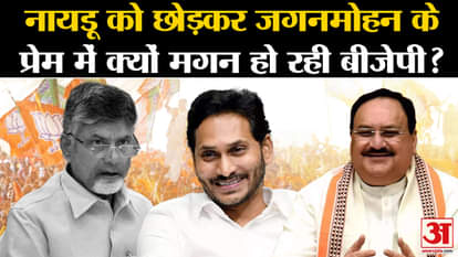 Lok Sabha Election: Why is BJP in love with Jaganmohan except Naidu?