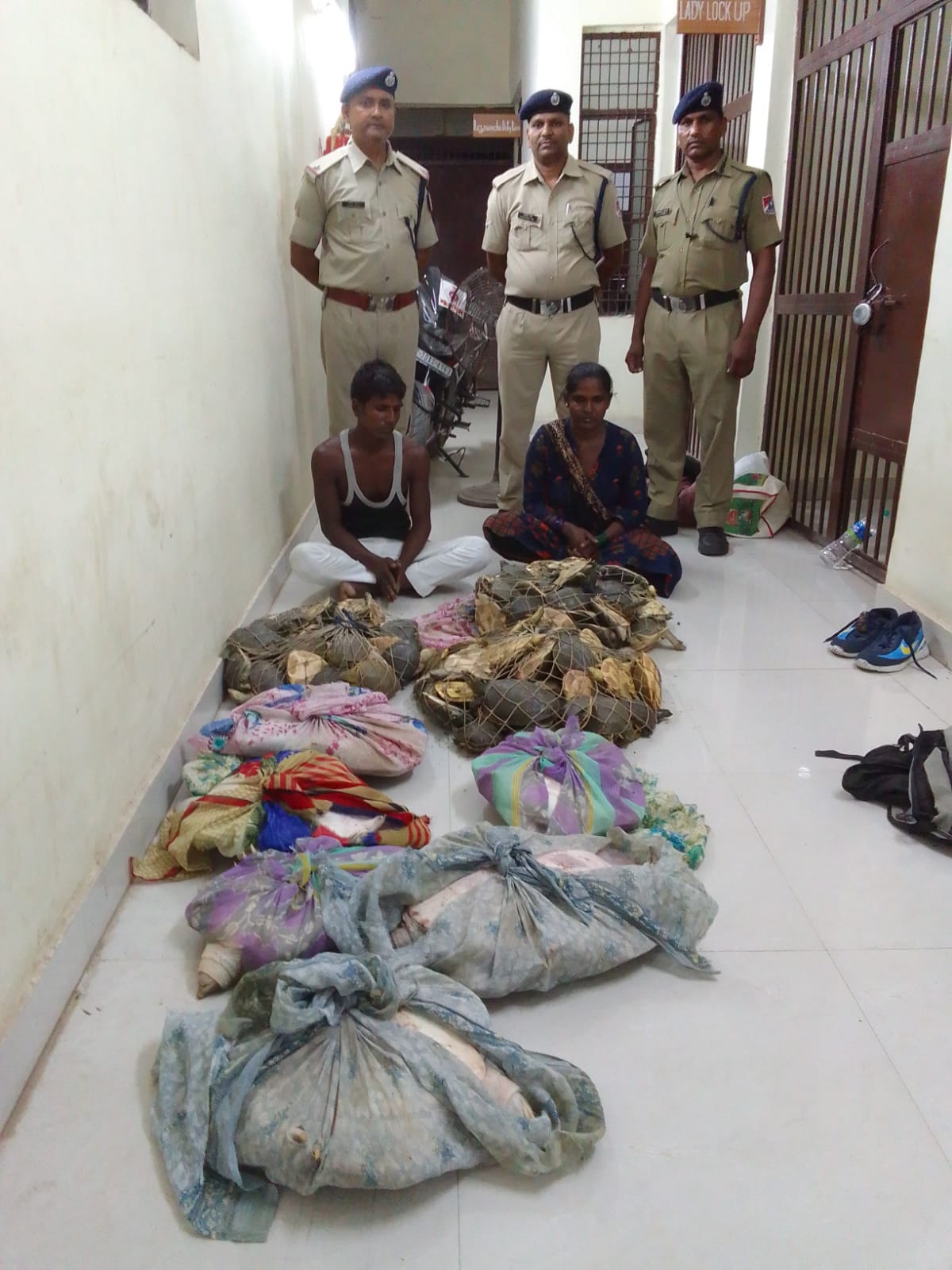 Mirzapur News: 236 turtles recovered from Jodhpur Howrah train, two arrested, were carrying in bags