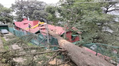 Himachal Weather: Chances of rain in many parts of Himachal from this day, houses collapsed till now in monsoo