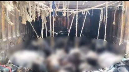 five smugglers arrested,more then seventy animals recovered from two trucks in Baghpa