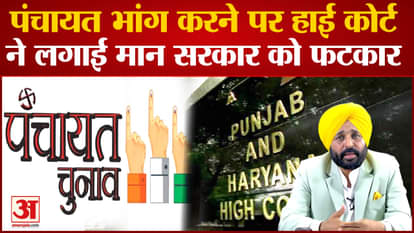 Punjab Haryana High Court reprimanded Mann Sarkar for dissolving Panchayat in Punjab