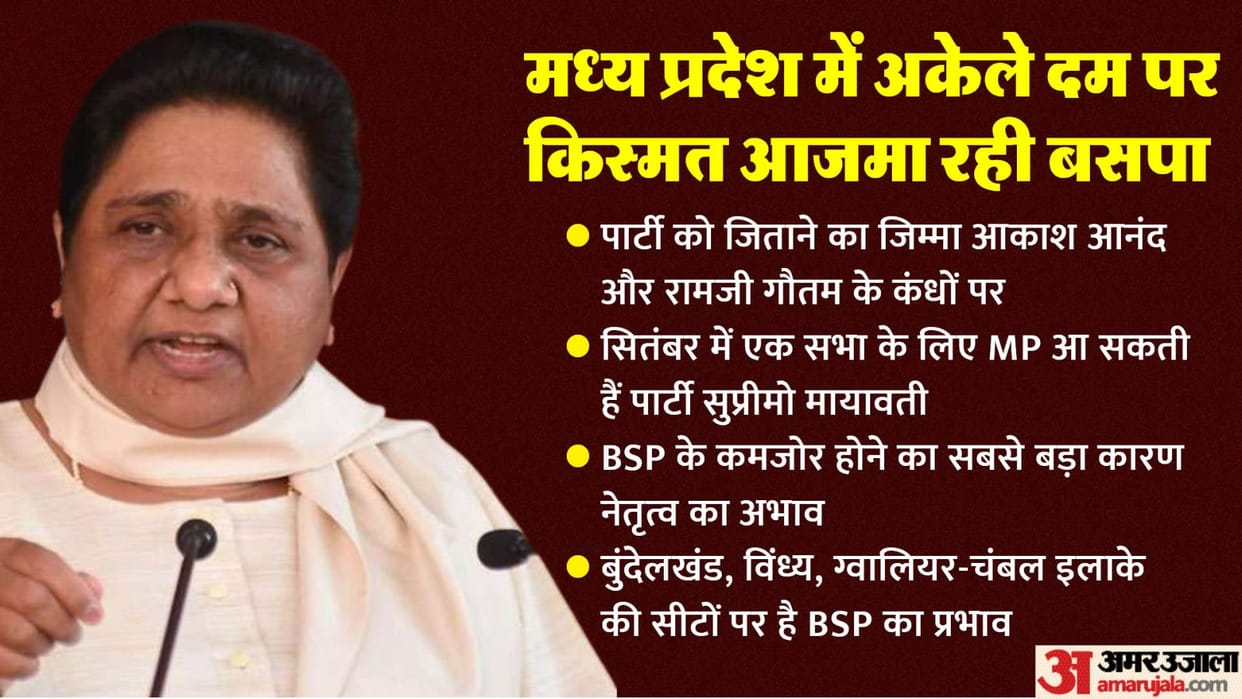 MP Election BSP prepares for victory in Vindhya-Bundelkhand-Chambal Why is Mayawati reposing faith in Akash