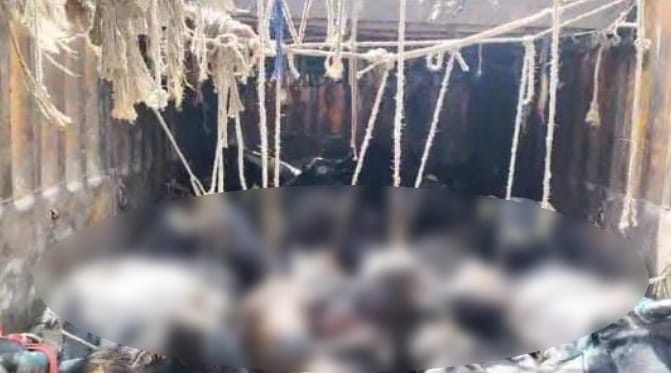 five smugglers arrested,more then seventy animals recovered from two trucks in Baghpa
