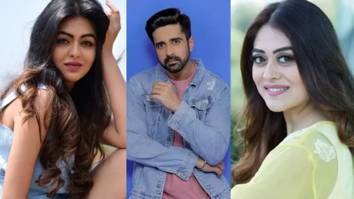Shafaq Naaz Was In Relationship With Avinash Sachdev Before 11 Years Actress Share Timeline Of Their Affair
