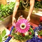 बाबा को रक्षाबंधन के पुनीत अवसर पर  राखी अर्पित