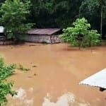 Flood in Assam