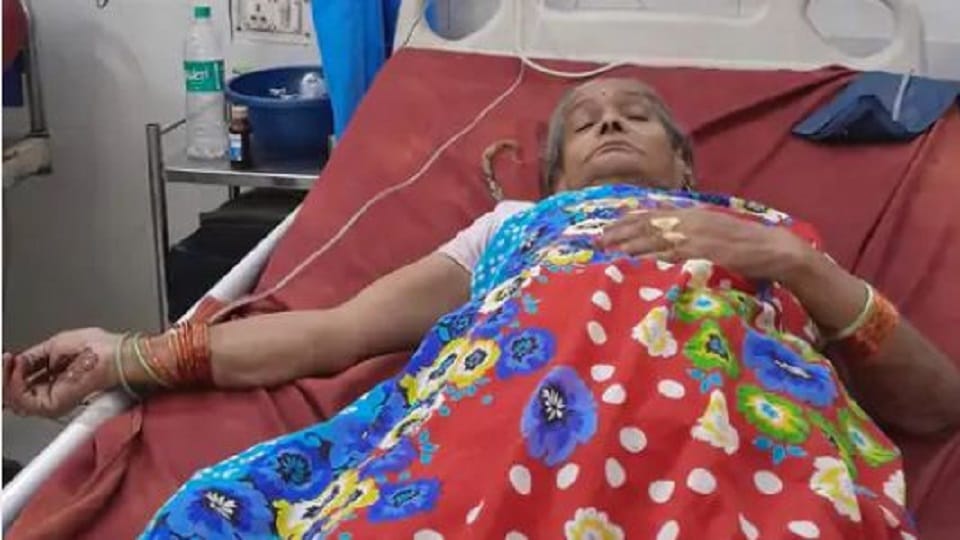 Cow attacked old woman stomach got torn Doctor put 30 stitches in agra up news