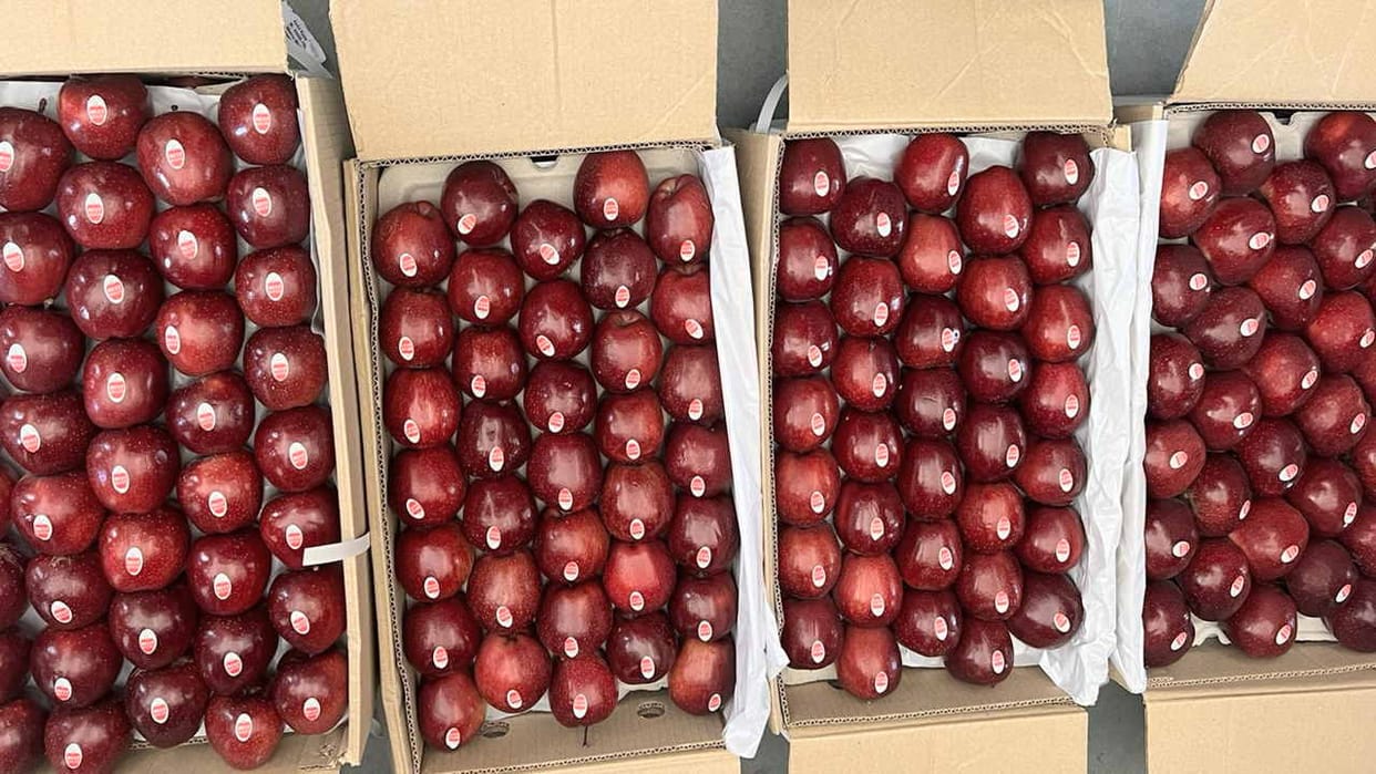Himachal apple shines in Jaipur, sold at Rs 150 per kg