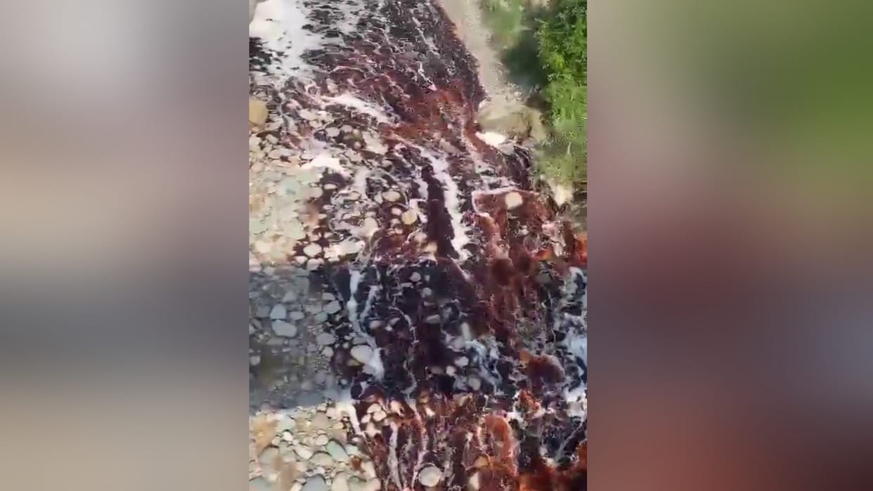 Bilaspur News:  Investigation into liquid catechu flowing into the khad begins, committee collects samples