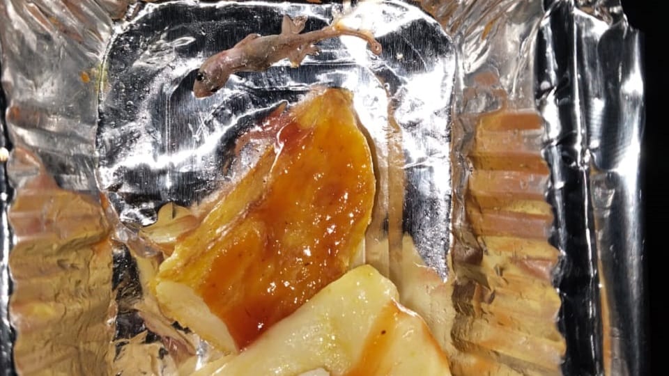 Amar Ujala Impact: Lizard found in food, IRCTC imposed fine of five lakhs on vendor