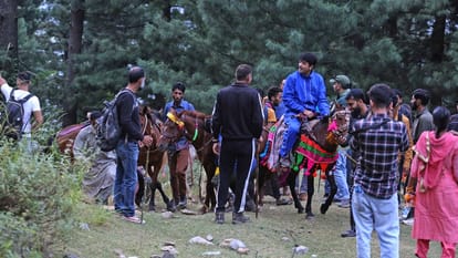 chota amarnath yatra: Chhota Amarnath Yatra begins after almost a decade