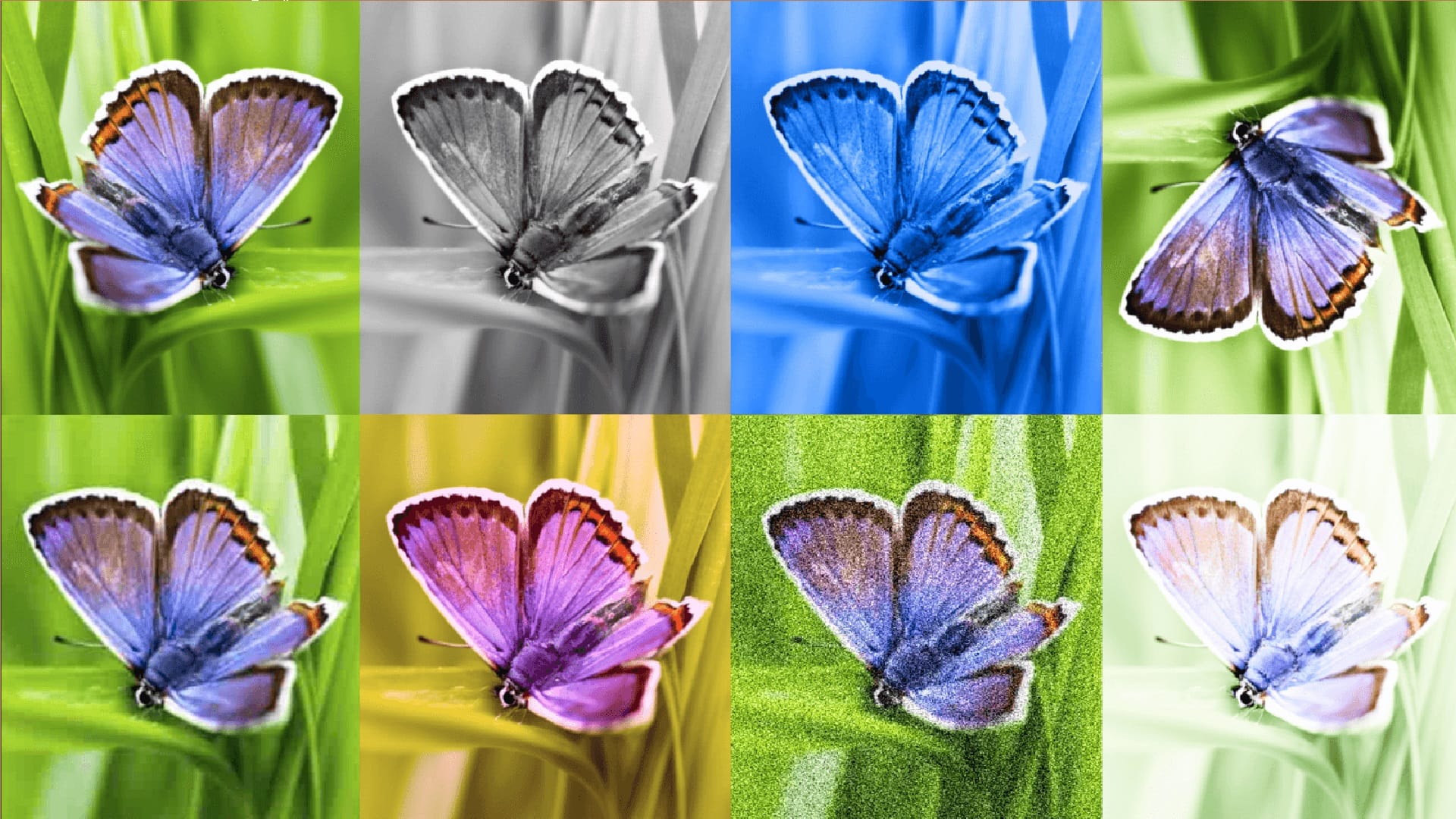 Google Launches Tool That Detects AI Images