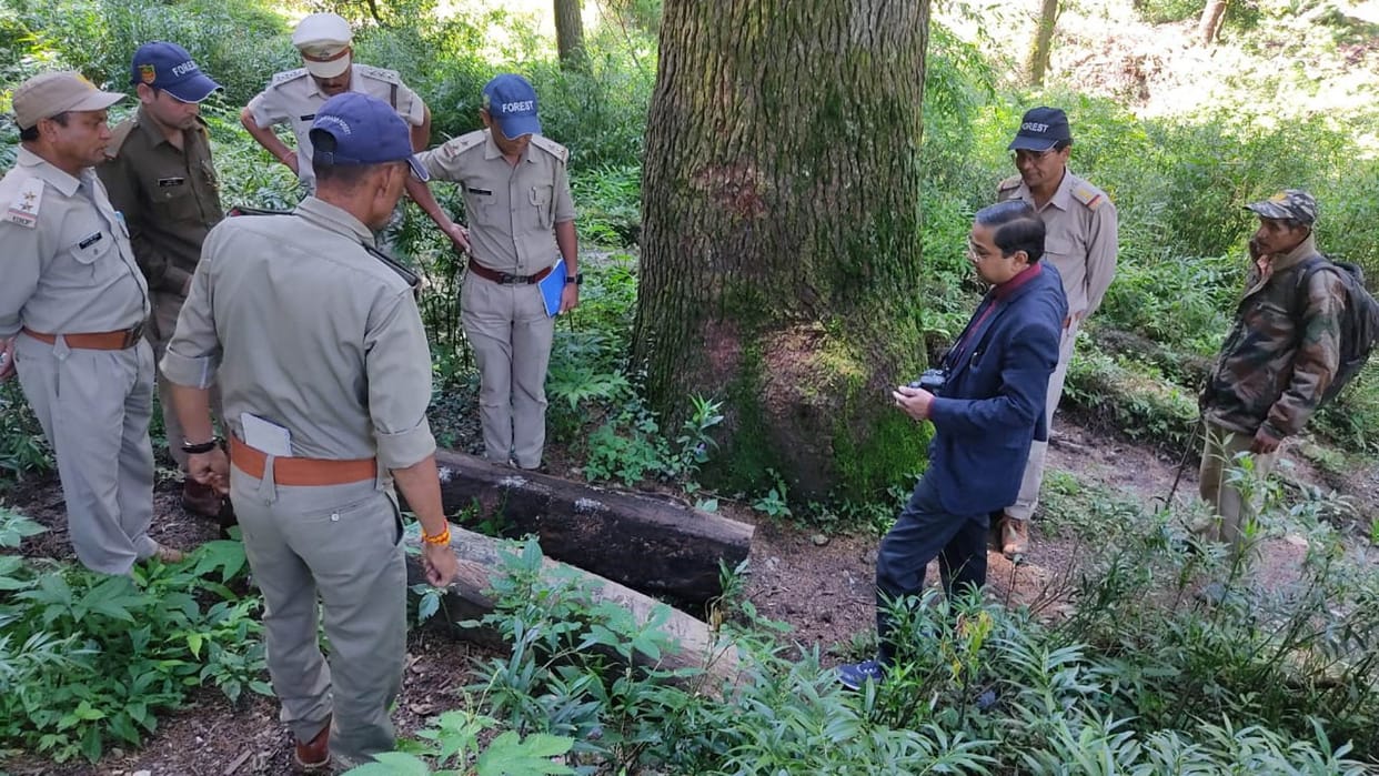 Illegally trees cutting case in Chakrata Clues are being found Dehradun uttarakhand news