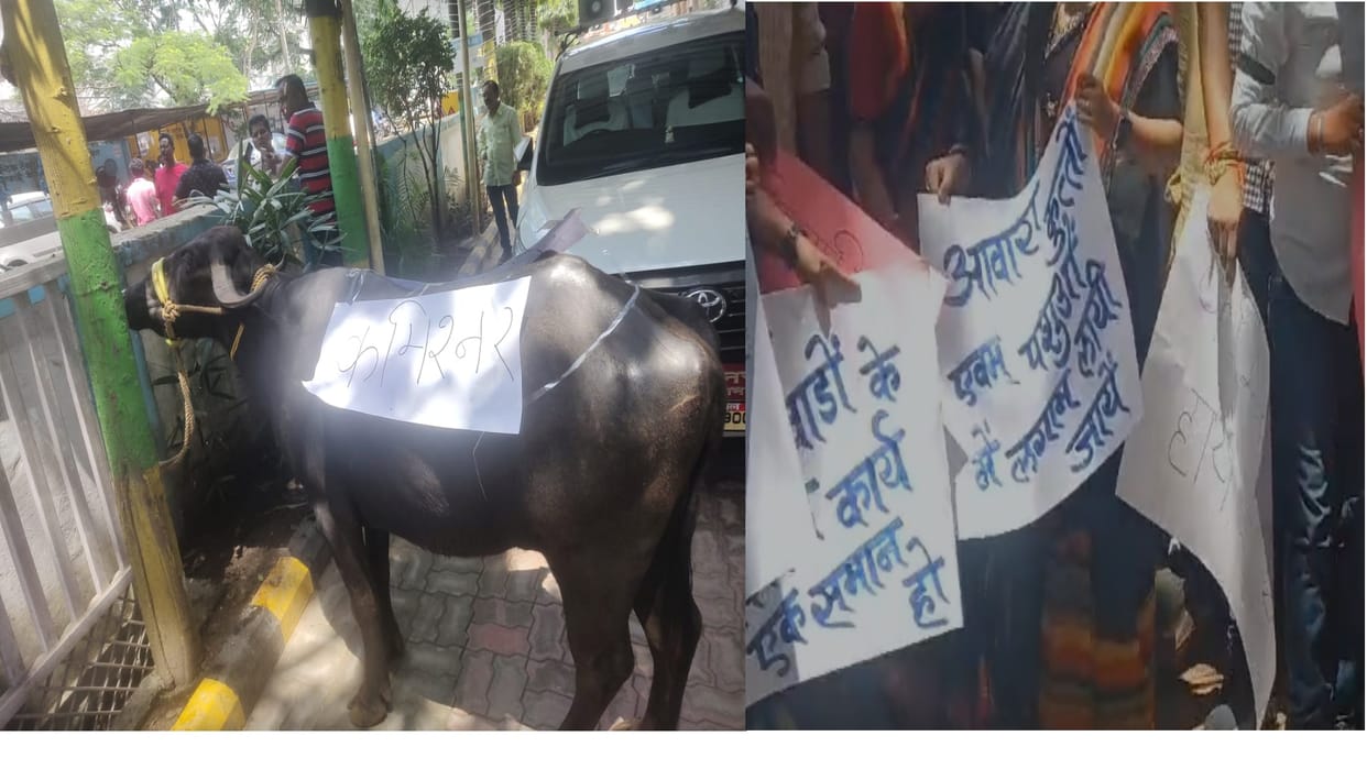 Chhindwara Congresss protest against the municipal commissioner allegations only BJP leaders are working